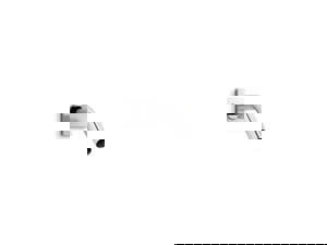 SHWR ARM W/ FLG CP HONEST